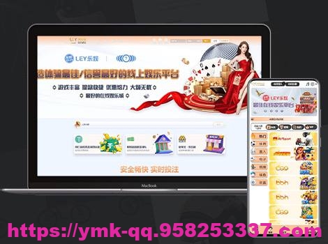 【VIP4】多语言